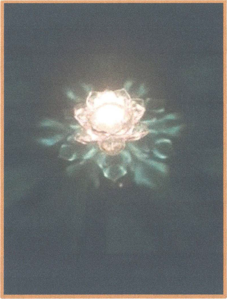 "Beauties Altar of Journey into Void"